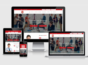 WEB DEVELOPMENT